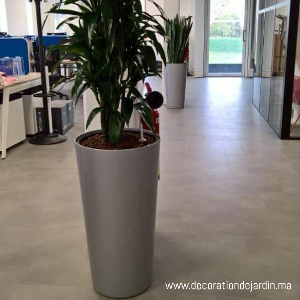 Pot Cylindrique en Résine