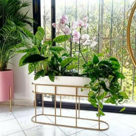Jardinière Ovale 80 cm, livraison partout au Maroc.