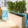 Jardinière résine Rectangulaire en résine livraison partout au Maroc.