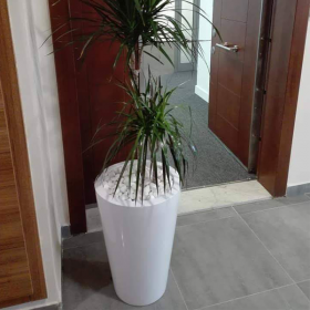 Pot Cylindrique 80 cm, livraison partout au Maroc.