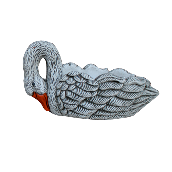 Cygne petit modèle