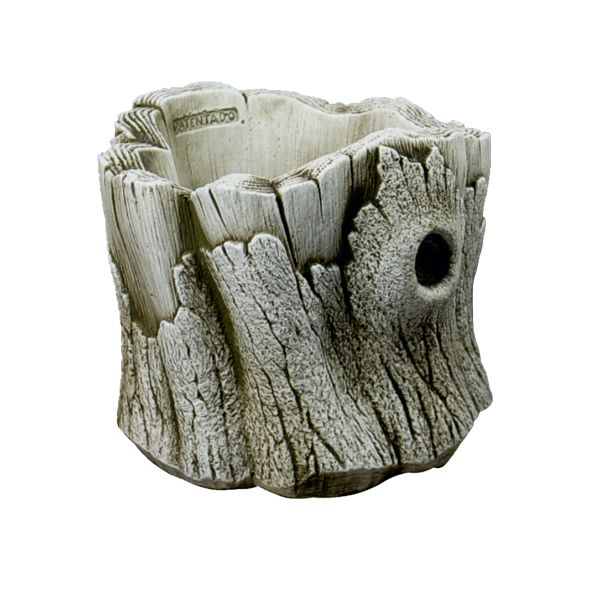 Tronc creux