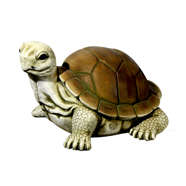 Tortue russe grand modèle