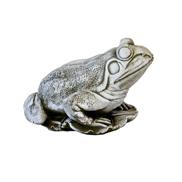 Grenouille