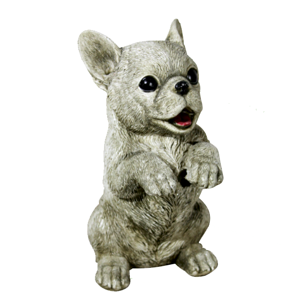 Petit chien