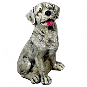 Chien GARDIEN