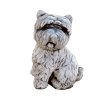 Chien WESTIE