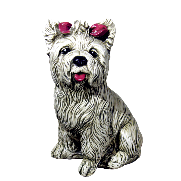 Chien YORKSHIRE