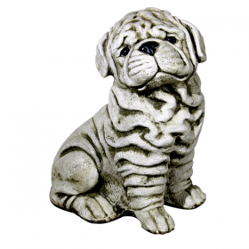 Chien shar-pei