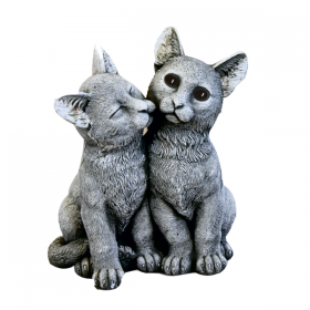 Petits chats