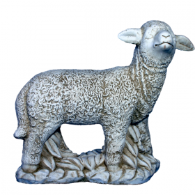 Agneau