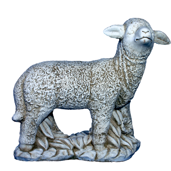 Agneau
