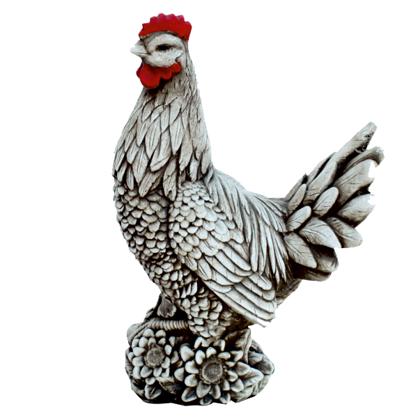 Poulet