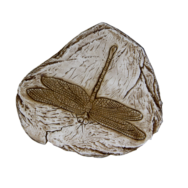 Fossile Libelula peint