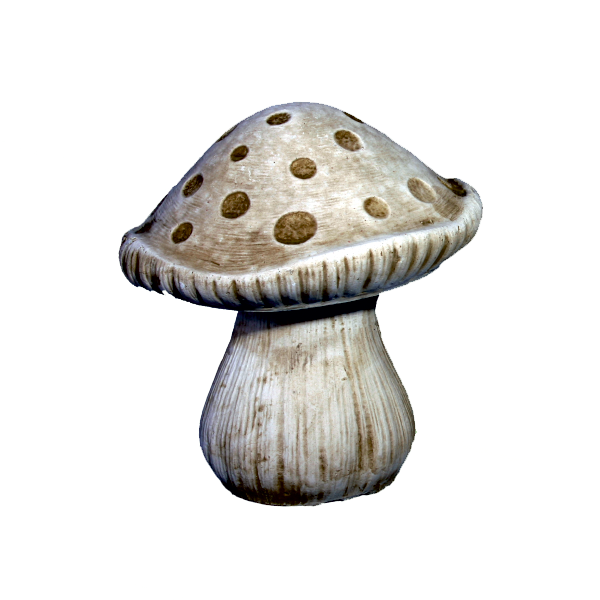 Champignon moyen