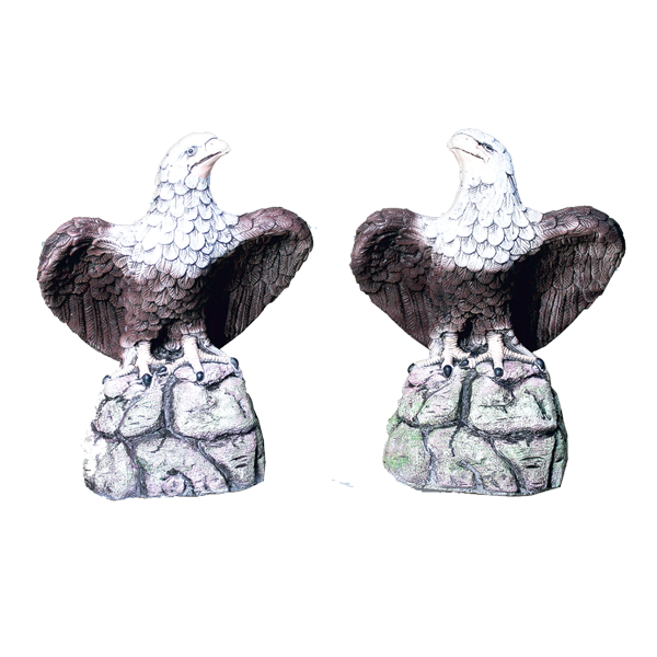 Paire Eagle American peint